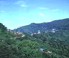 Mae Salong, a Kuomintang Chinese Village in Chiang Rai's Mae Chan District